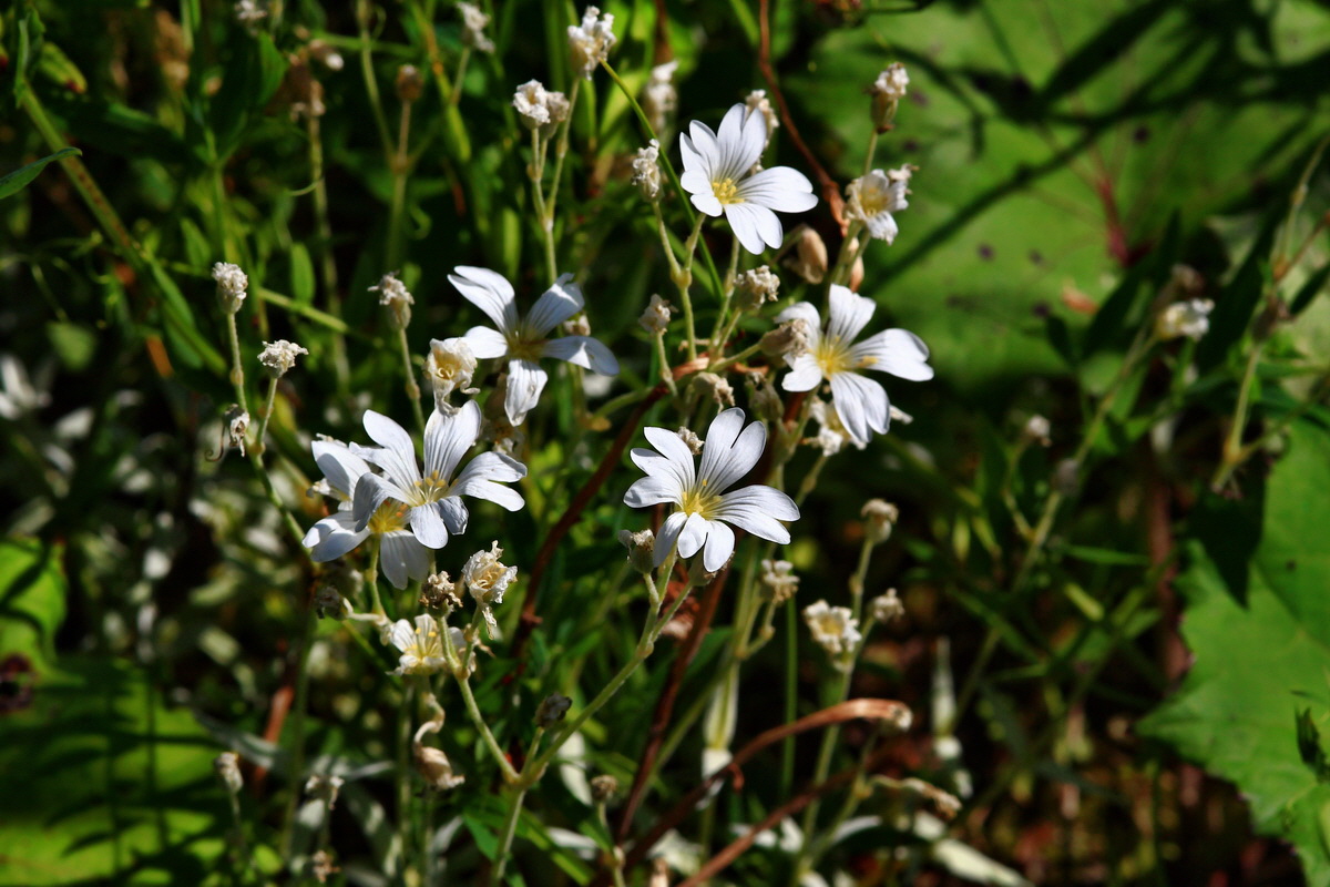 2013_06_21_00023201p_Bildgr��e �ndern