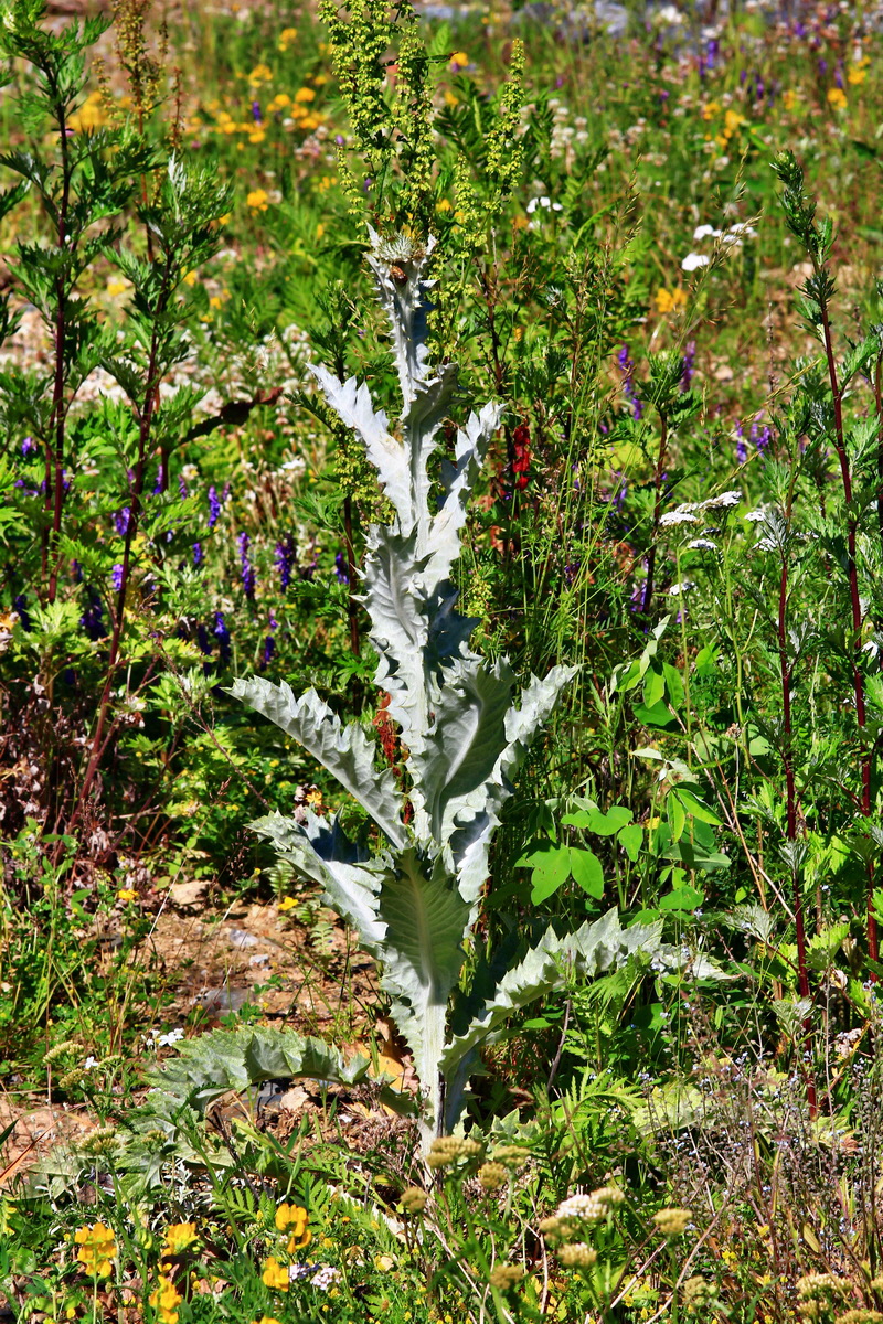 2013_06_21_00023217p_Bildgr��e �ndern