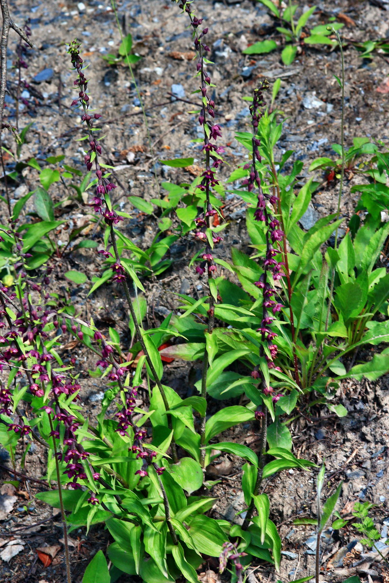 2013_06_21_00023237p_Bildgr��e �ndern