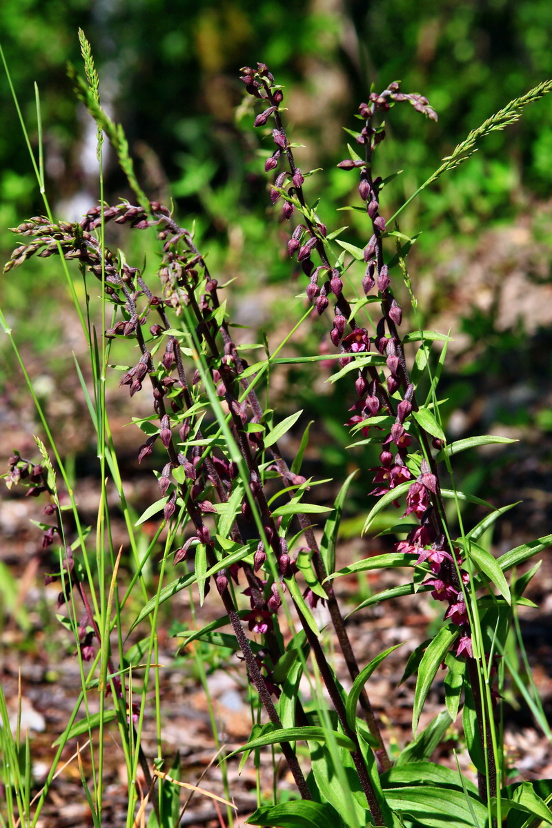 2013_06_21_00023245p_Bildgr��e �ndern