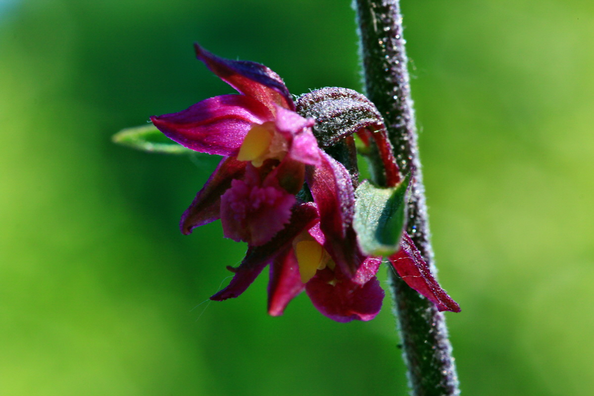 2013_06_21_00023361p_Bildgr��e �ndern