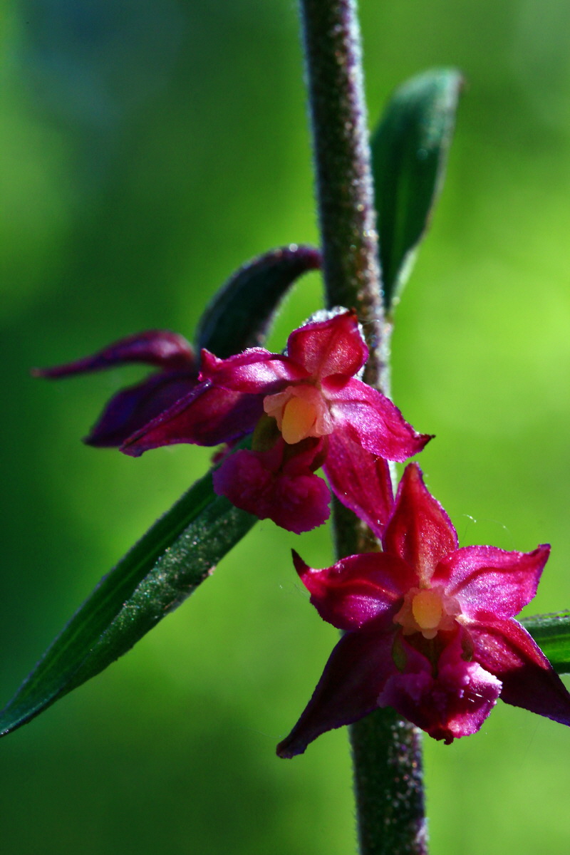 2013_06_21_00023374p_Bildgr��e �ndern