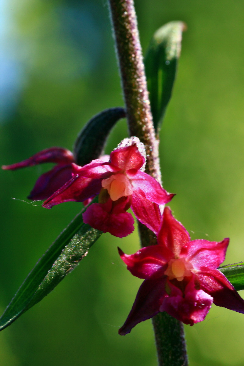 2013_06_21_00023380p_Bildgr��e �ndern