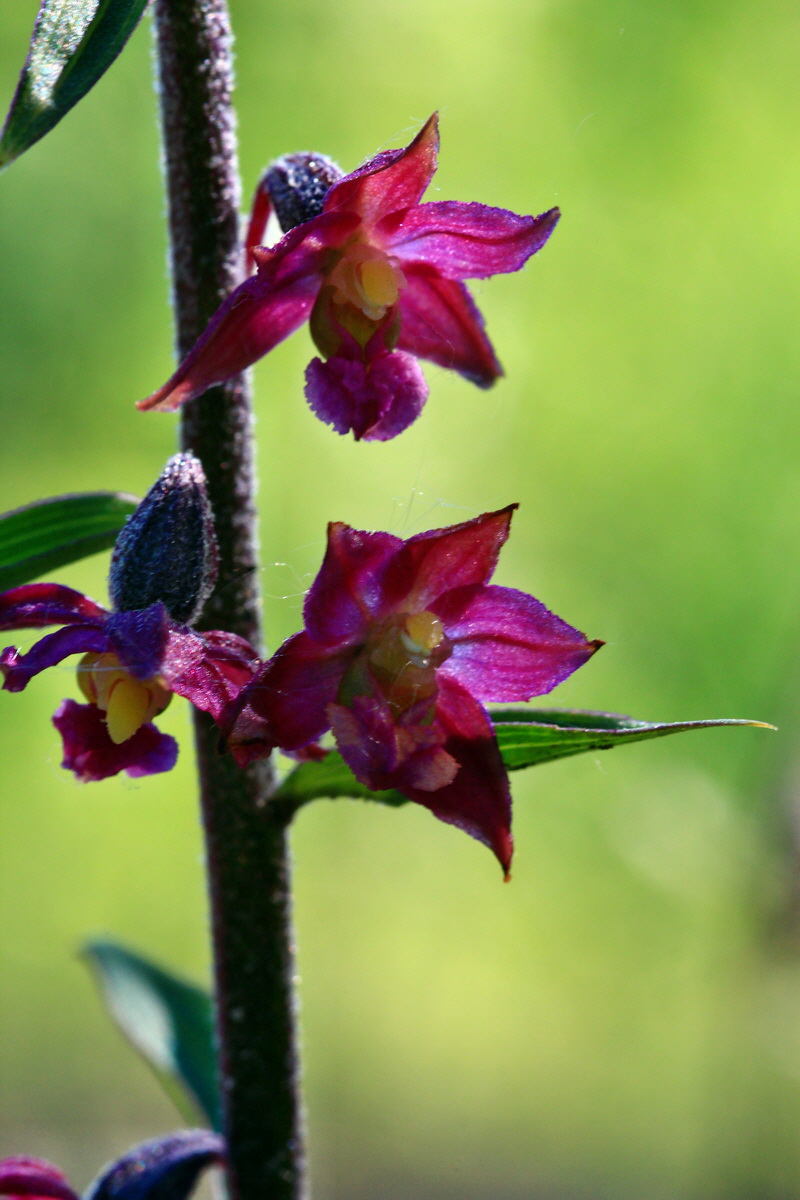 2013_06_21_00023383p_Bildgr��e �ndern