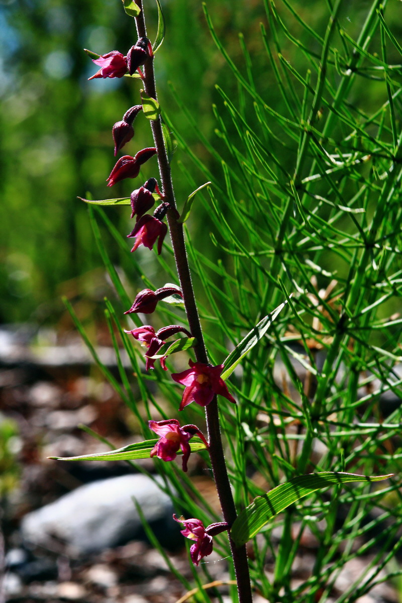 2013_06_21_00023394p_Bildgr��e �ndern