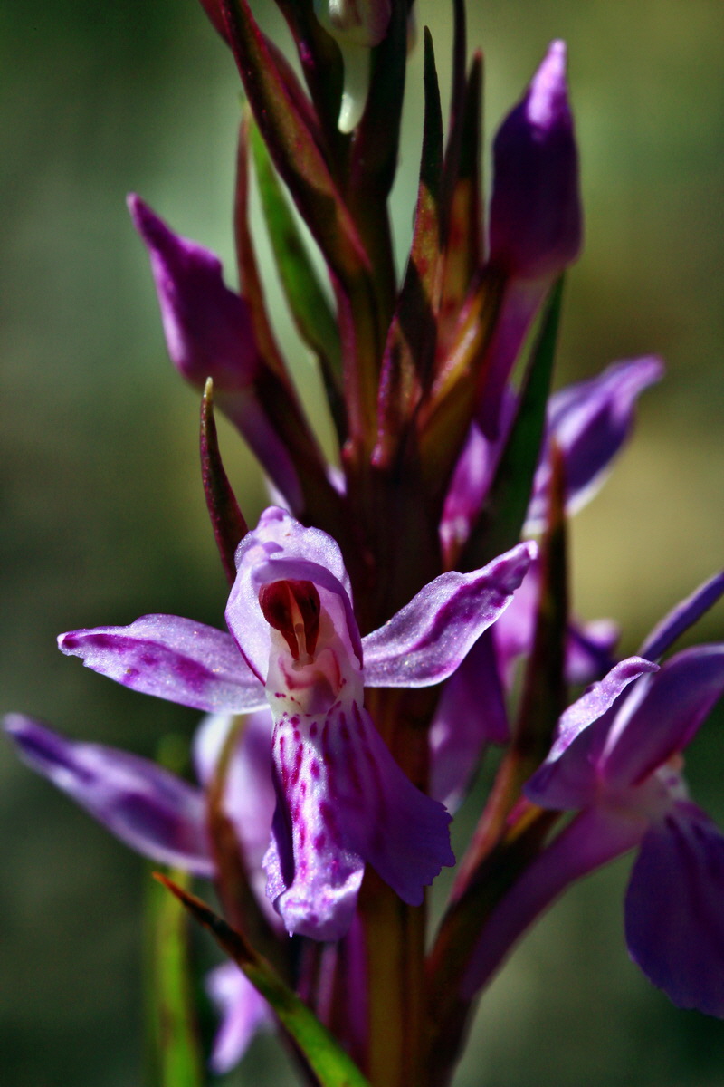 2013_06_21_00023433p_Bildgr��e �ndern