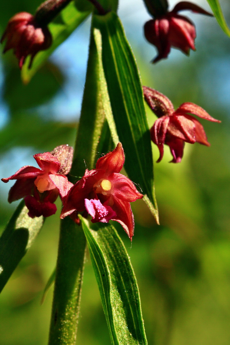 2013_06_21_00023454p_Bildgr��e �ndern