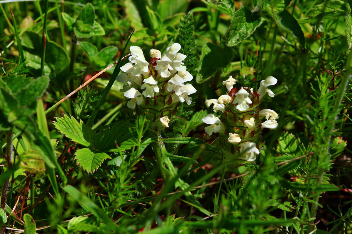 2013_06_22_00023603p_Bildgr��e �ndern