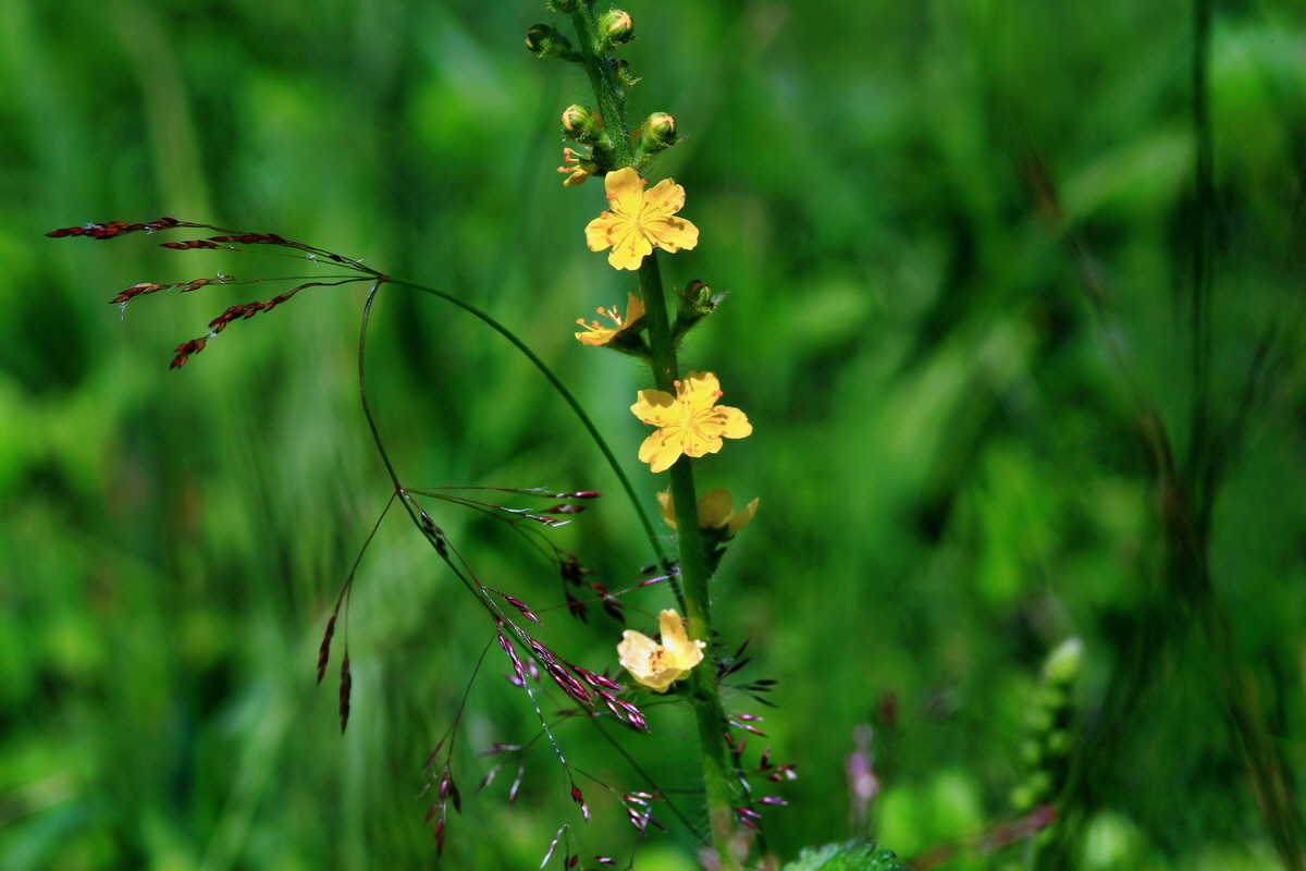 2013_06_22_00023605p_Bildgr��e �ndern