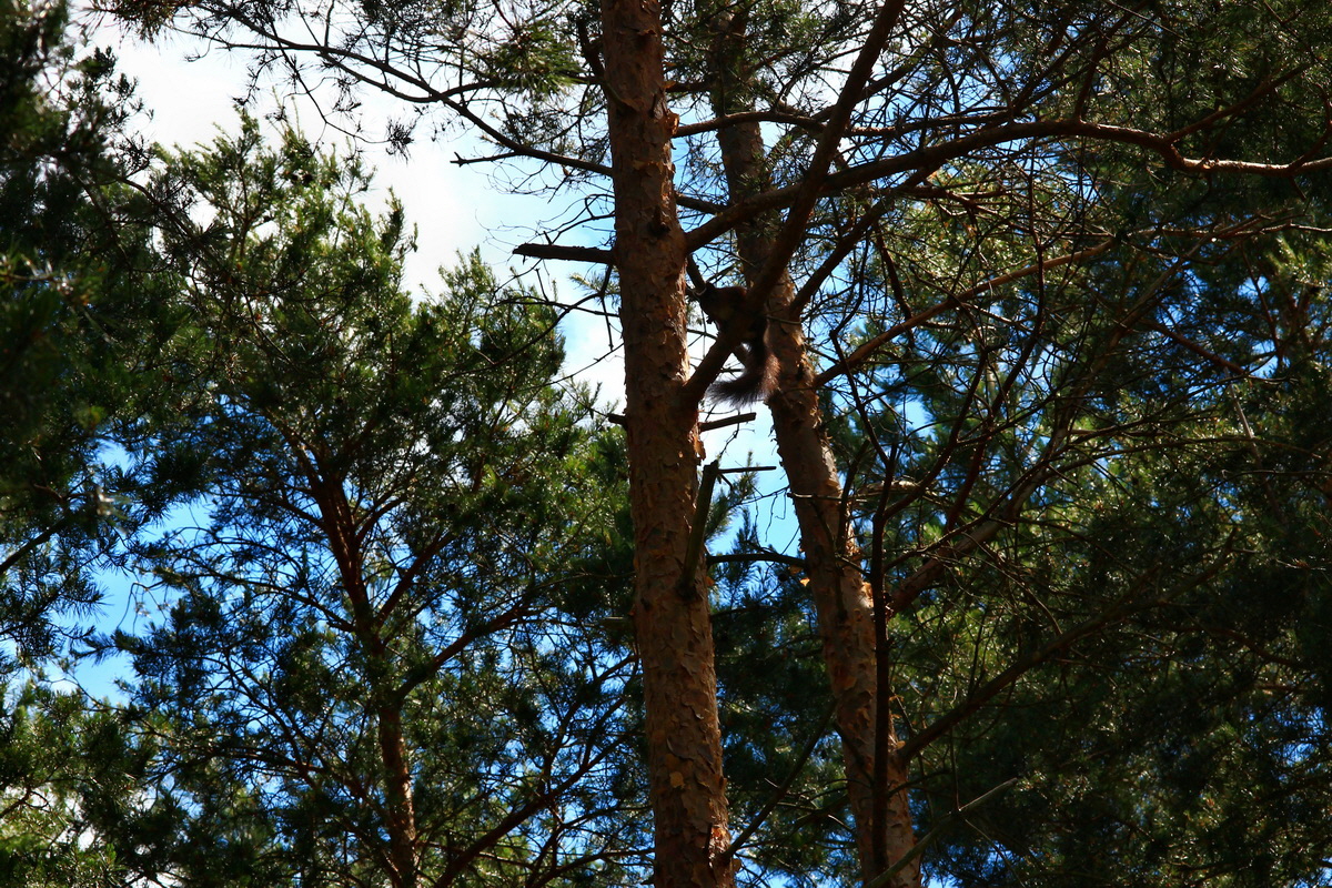 2013_06_22_00023618p_Bildgr��e �ndern