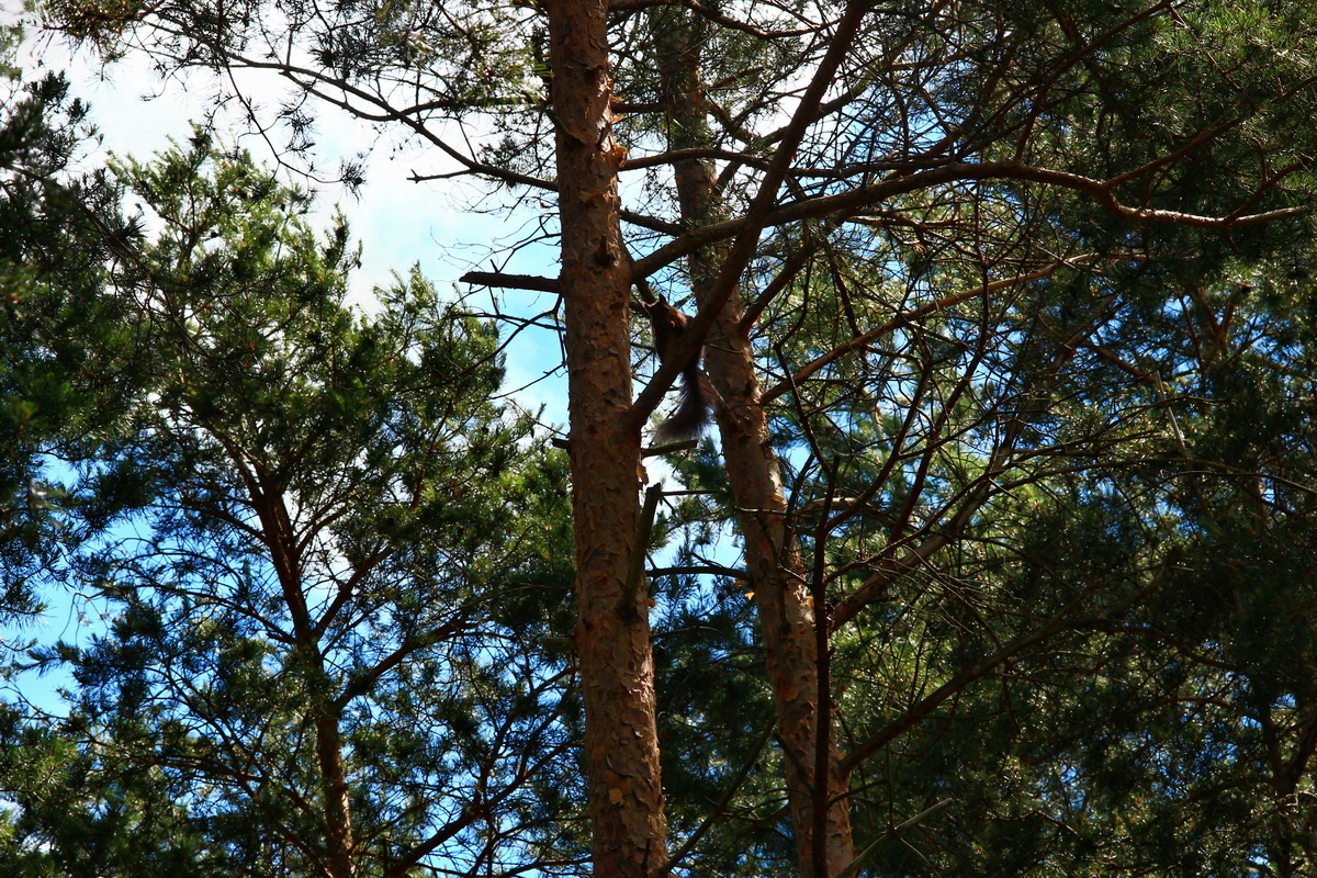 2013_06_22_00023625p_Bildgr��e �ndern