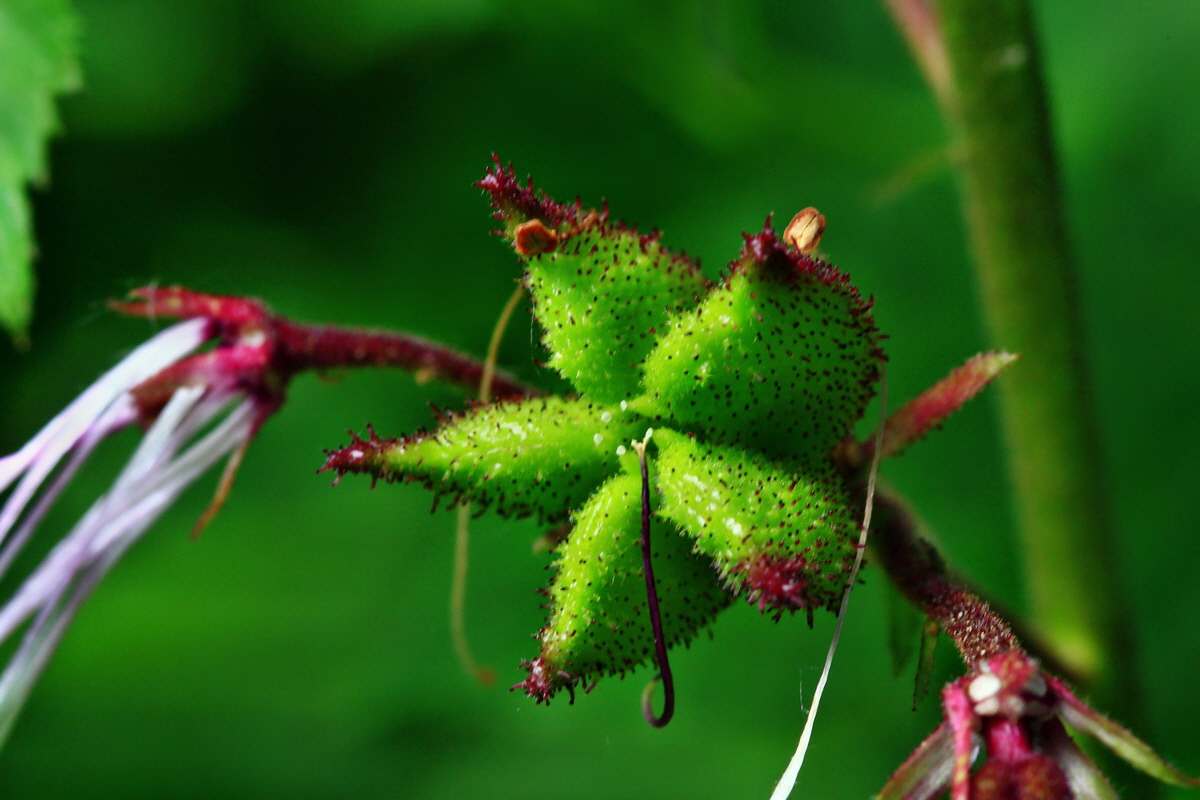 2013_06_22_00023651p_Bildgr��e �ndern