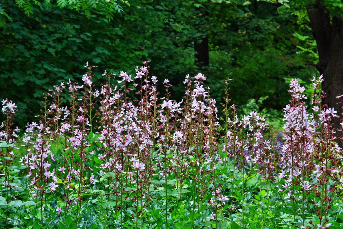 2013_06_22_00023653p_Bildgr��e �ndern