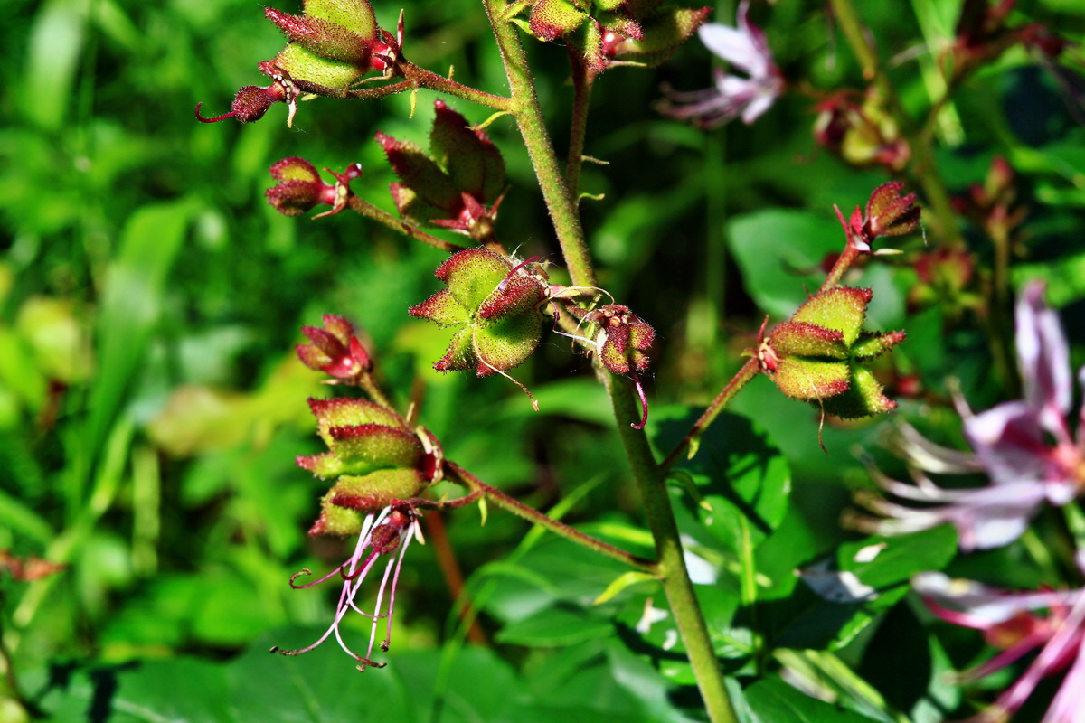 2013_06_22_00023664p_Bildgr��e �ndern