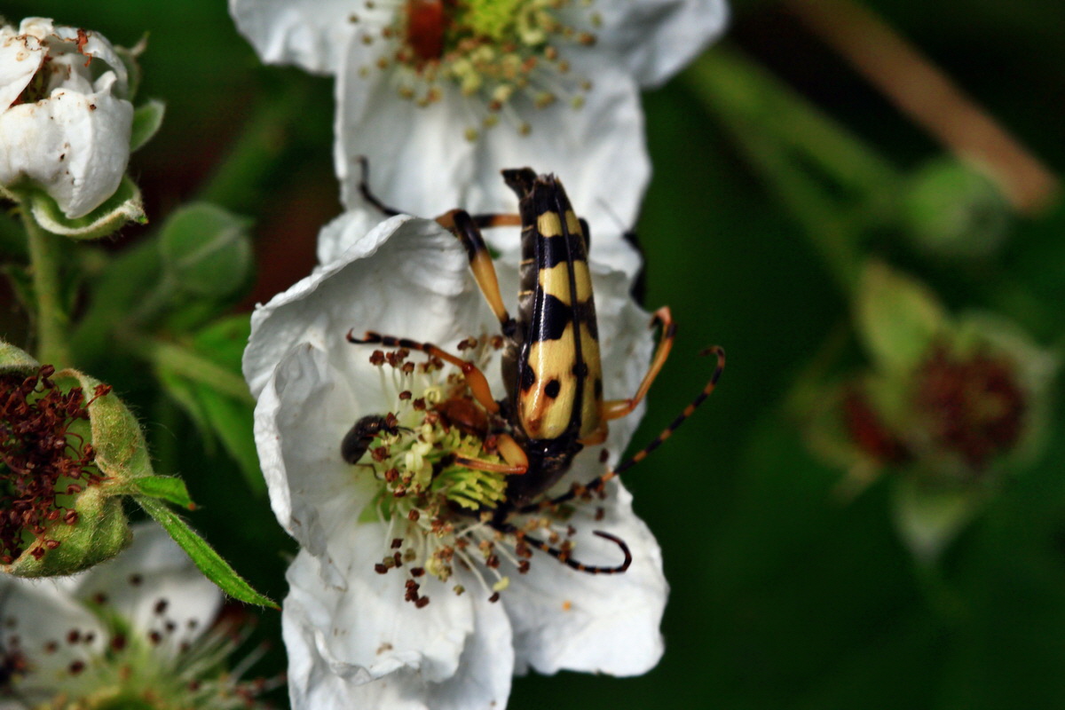 2013_06_22_00023682p_Bildgr��e �ndern