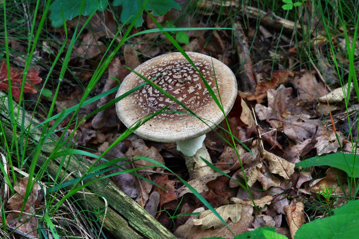 2013_06_22_00023696p_Bildgr��e �ndern