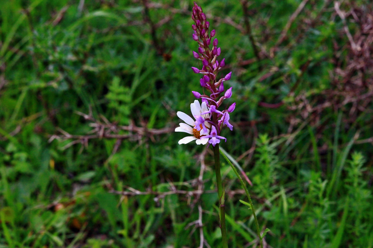 2013_06_22_00023719p_Bildgr��e �ndern