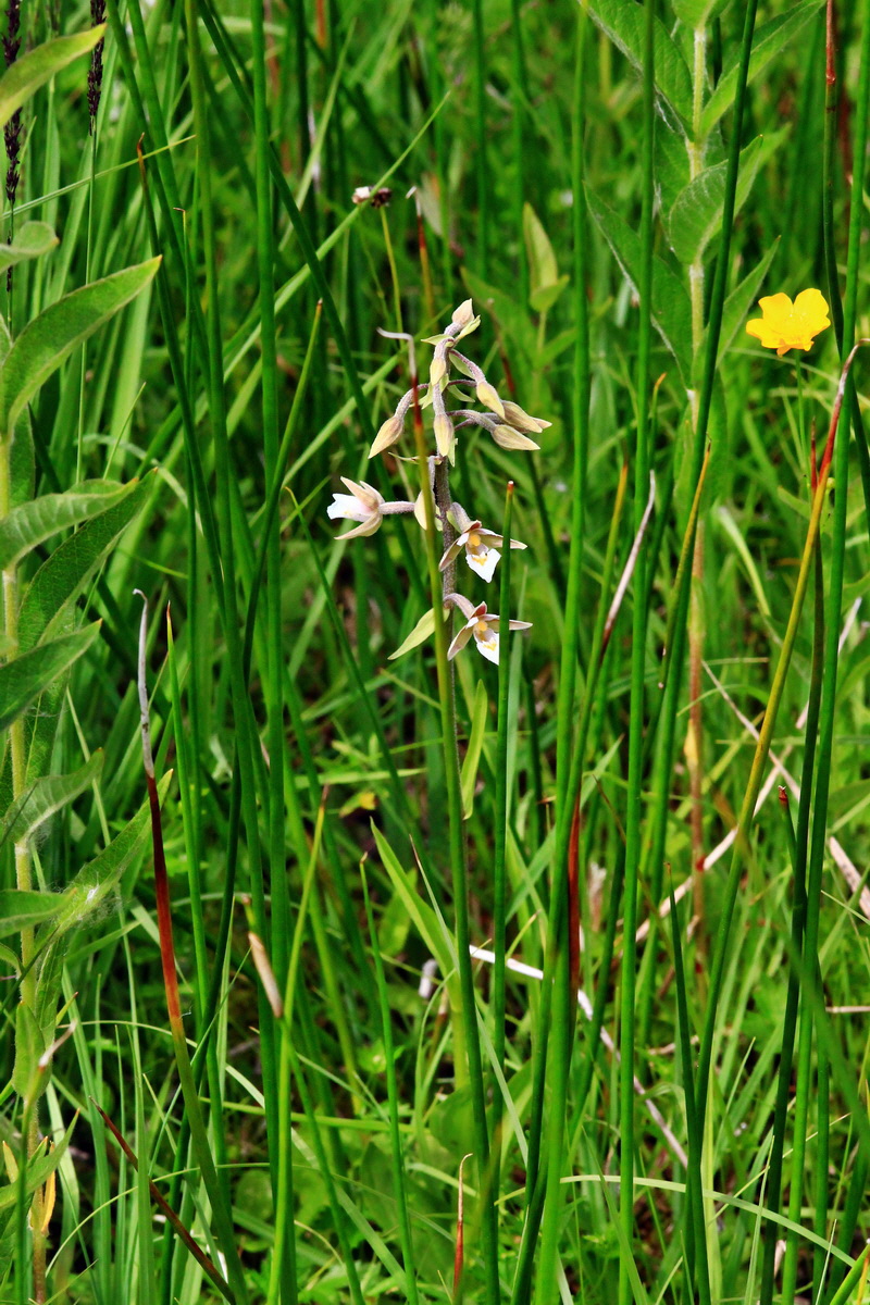 2013_06_22_00023808p_Bildgr��e �ndern