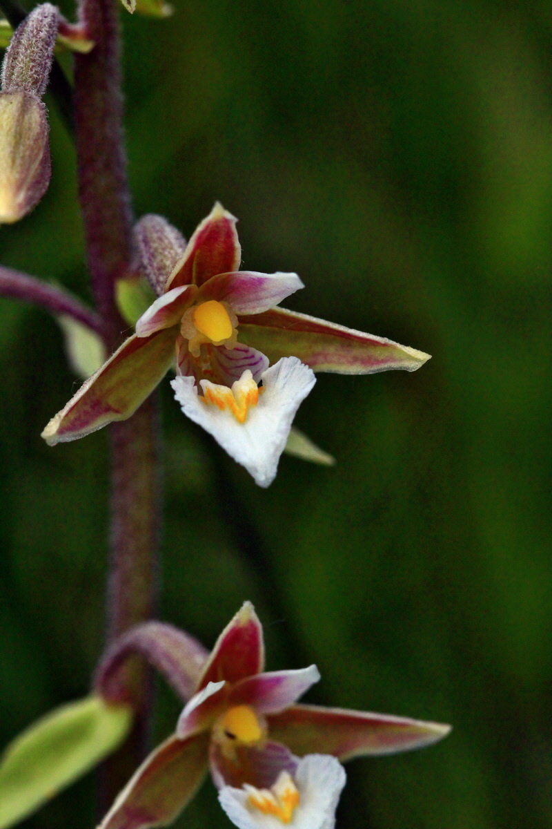 2013_06_22_00023815p_Bildgr��e �ndern