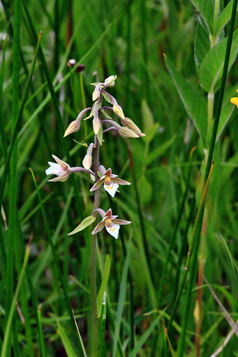 2013_06_22_00023820p_Bildgr��e �ndern