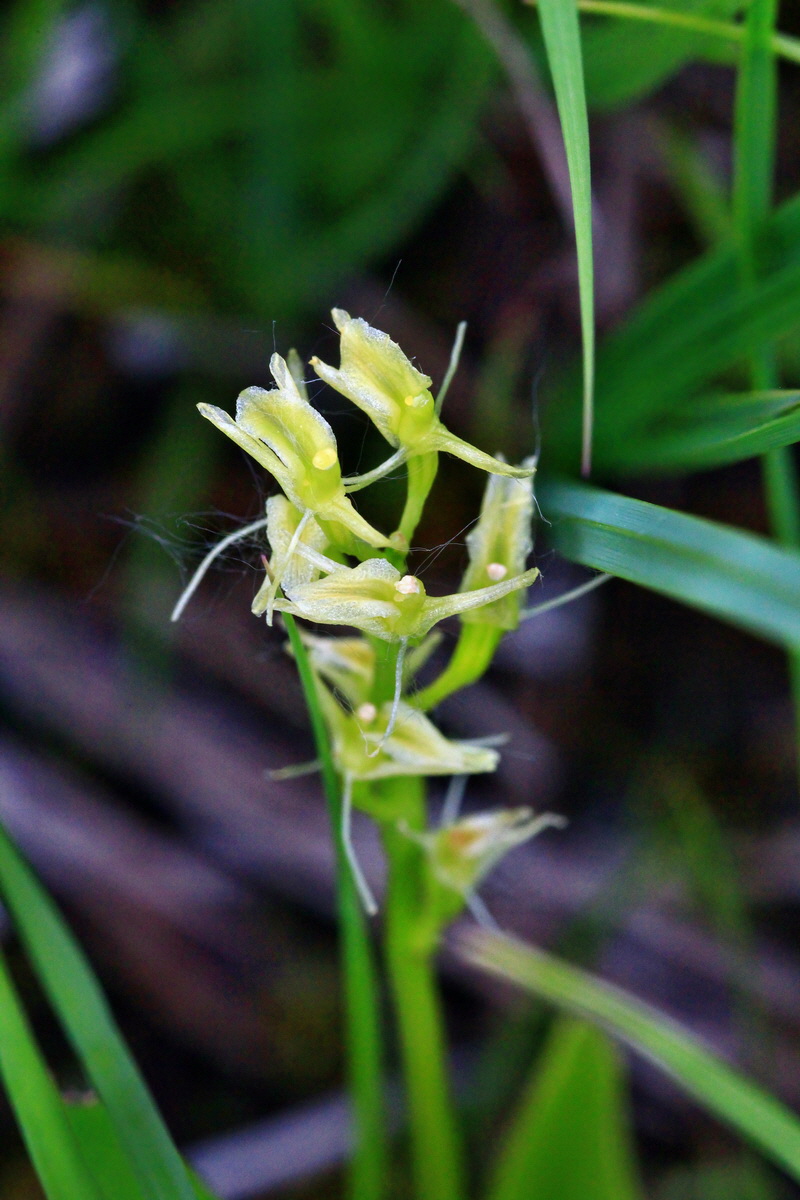 2013_06_22_00023823p_Bildgr��e �ndern