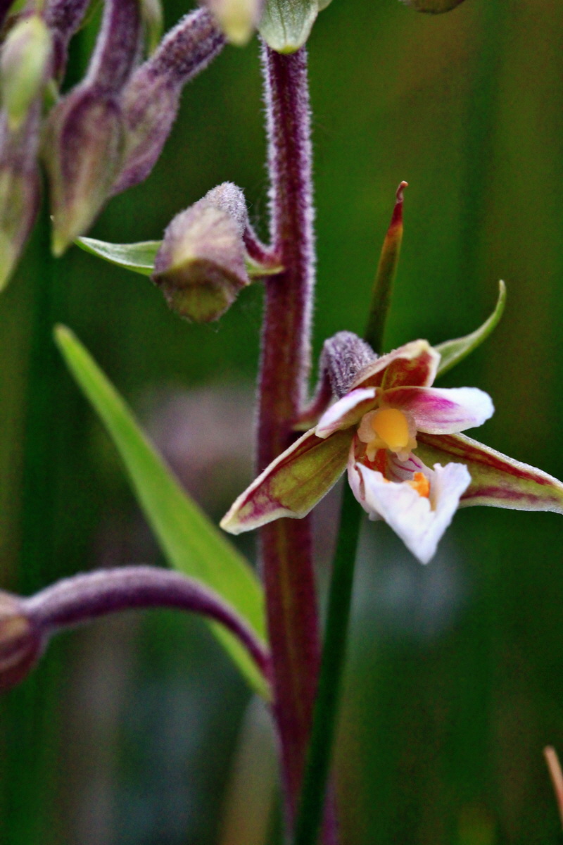 2013_06_22_00023854p_Bildgr��e �ndern