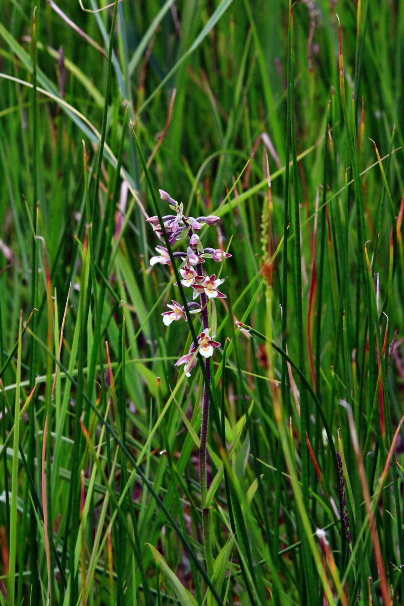 2013_06_22_00023861p_Bildgr��e �ndern