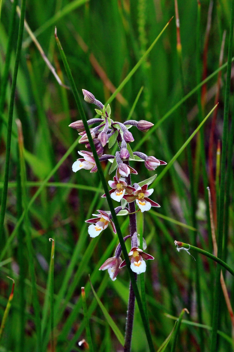 2013_06_22_00023866p_Bildgr��e �ndern