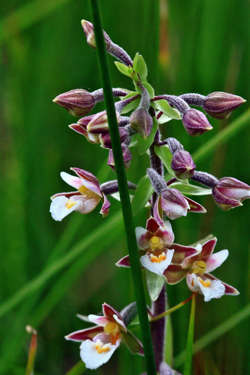 2013_06_22_00023872p_Bildgr��e �ndern