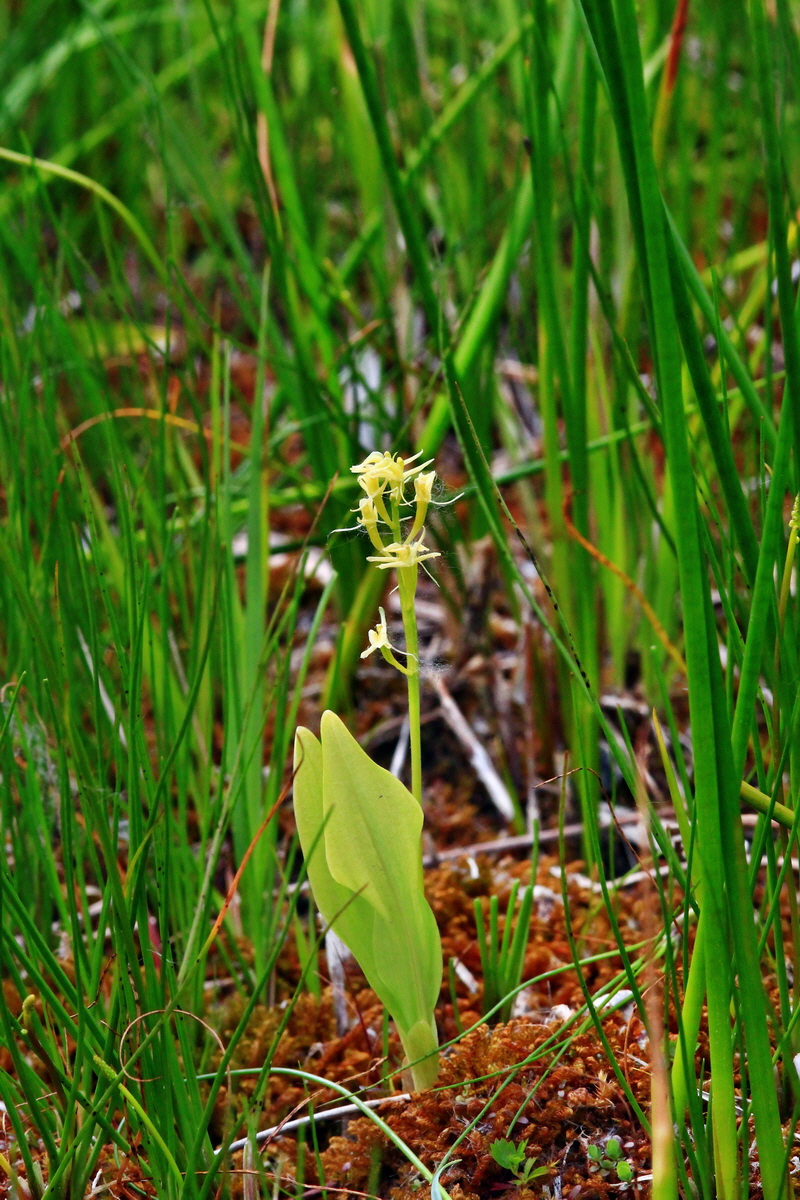 2013_06_22_00023894p_Bildgr��e �ndern