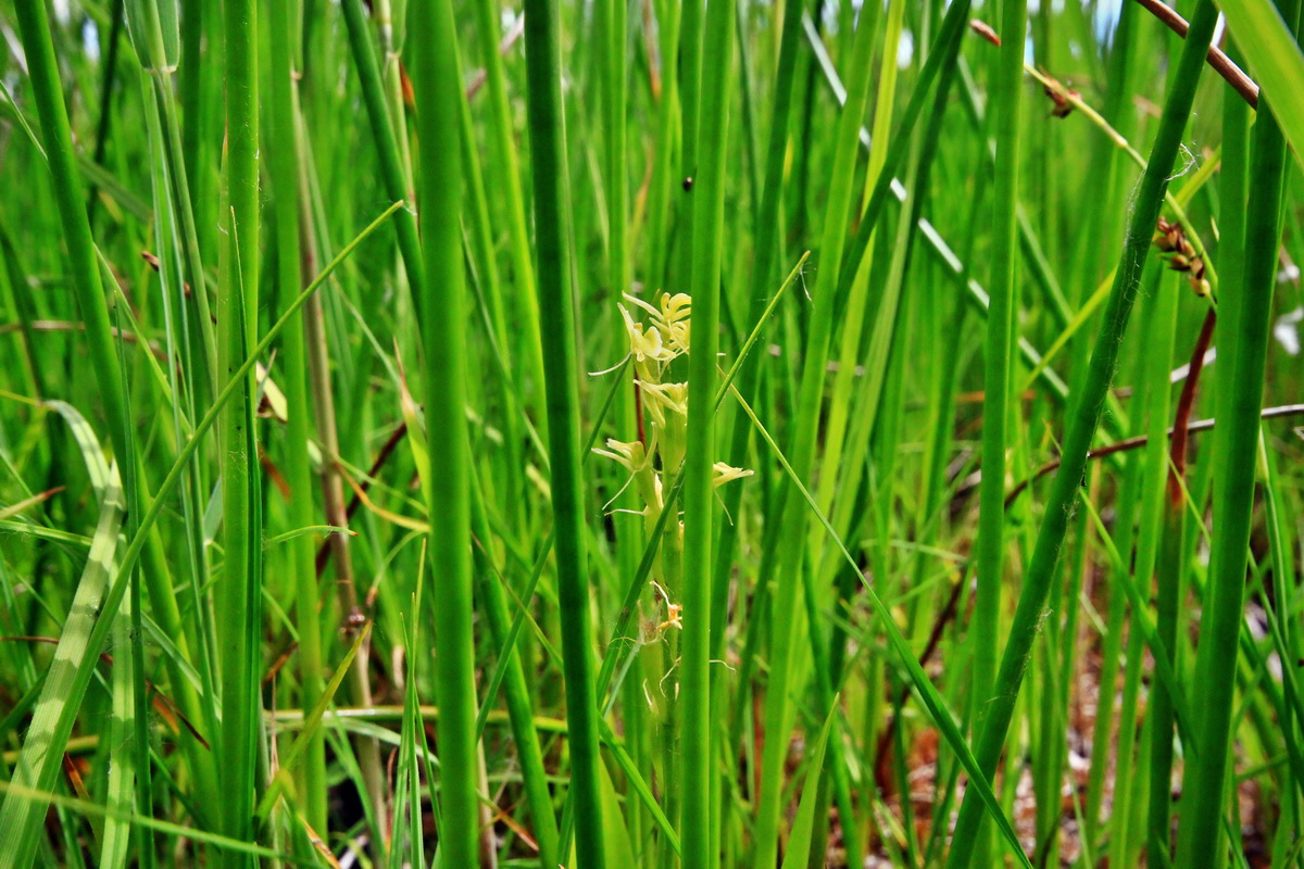 2013_06_22_00023903p_Bildgr��e �ndern