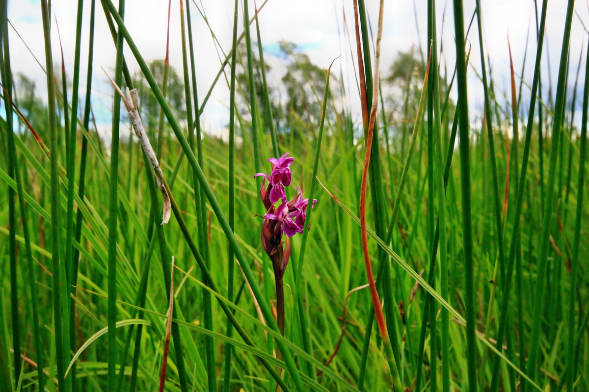 2013_06_22_00023922p_Bildgr��e �ndern