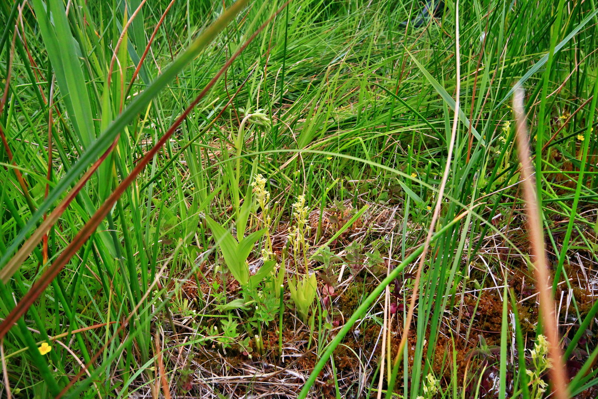 2013_06_22_00023926p_Bildgr��e �ndern