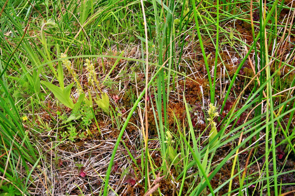 2013_06_22_00023930p_Bildgr��e �ndern