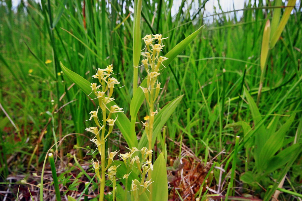 2013_06_22_00023936p_Bildgr��e �ndern