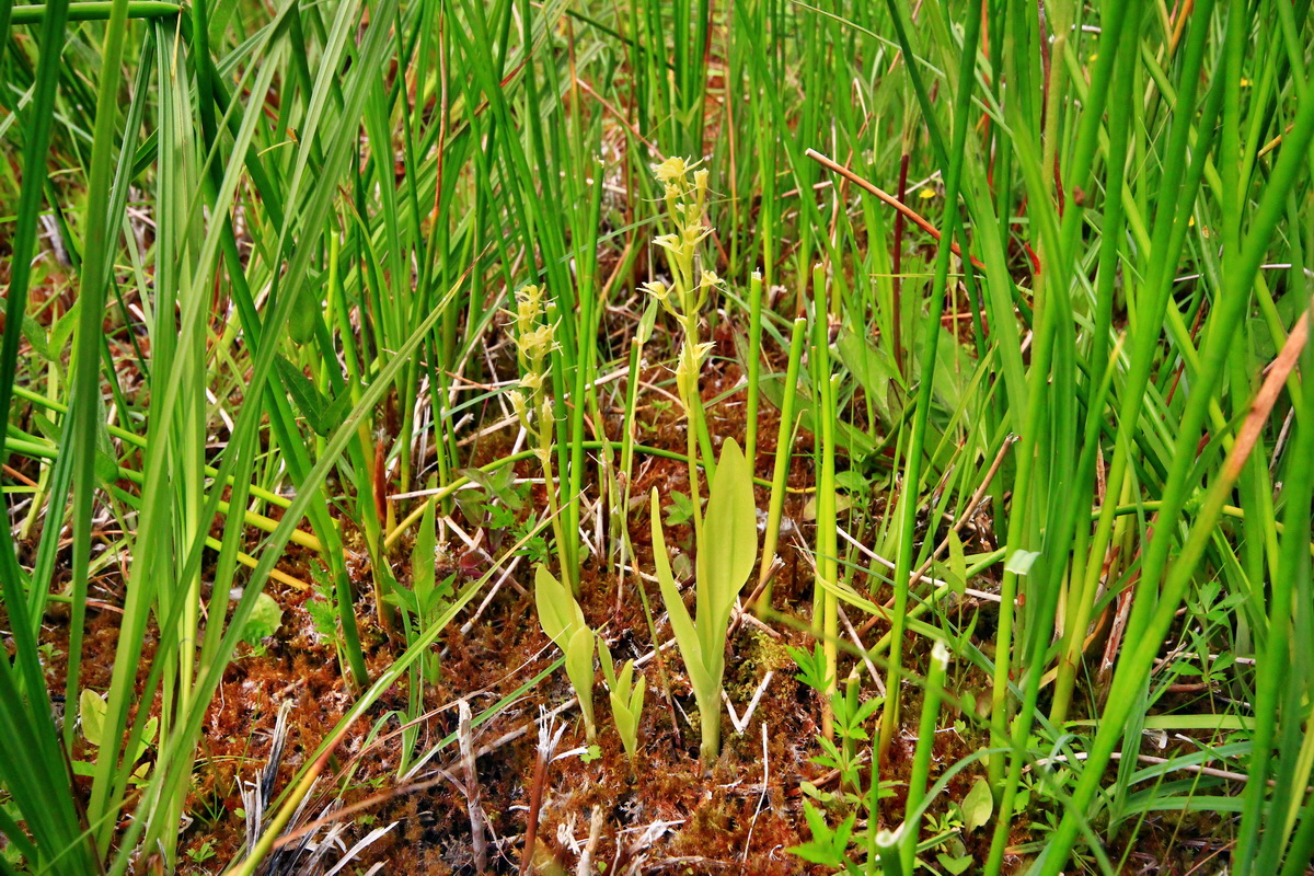 2013_06_22_00023947p_Bildgr��e �ndern