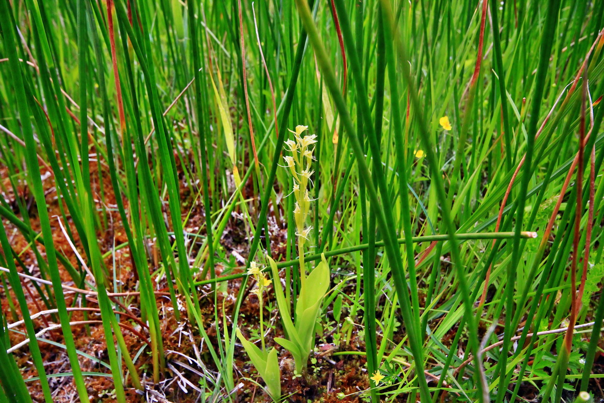 2013_06_22_00023949p_Bildgr��e �ndern