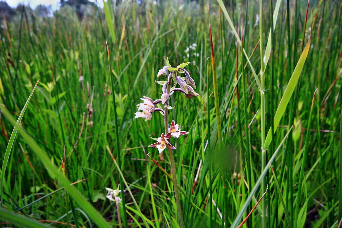 2013_06_22_00023956p_Bildgr��e �ndern