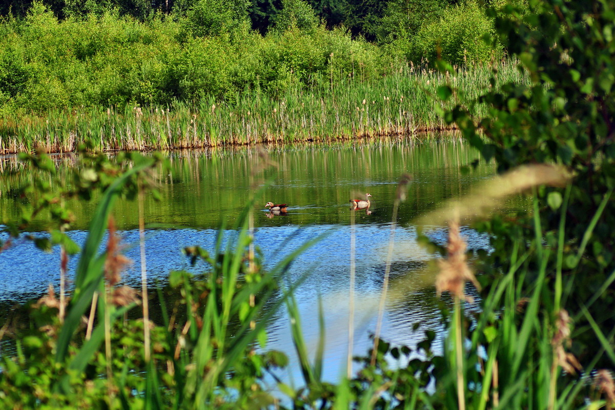 2013_06_24_00023964p_Bildgr��e �ndern