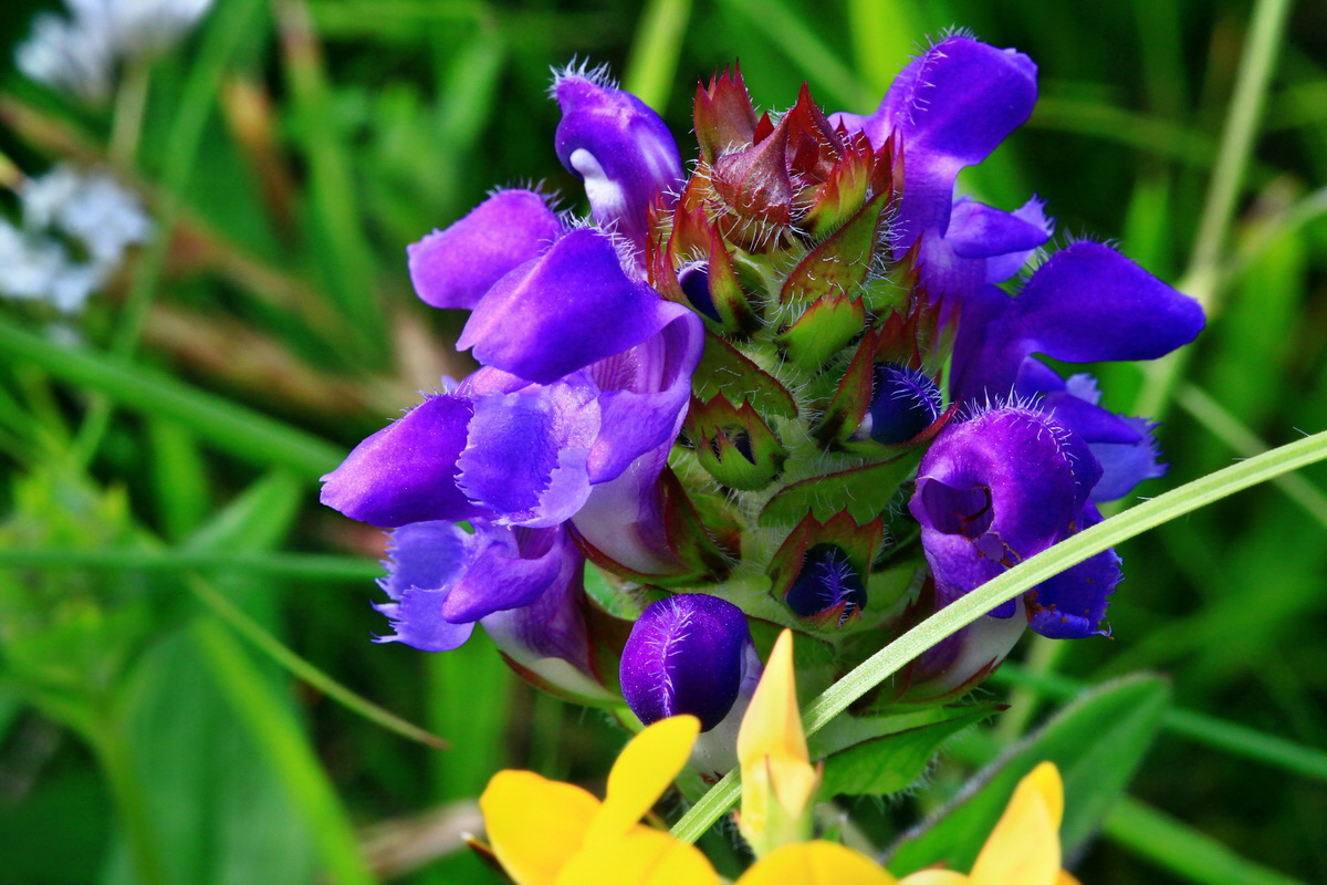 2013_06_24_00023983p_Bildgr��e �ndern