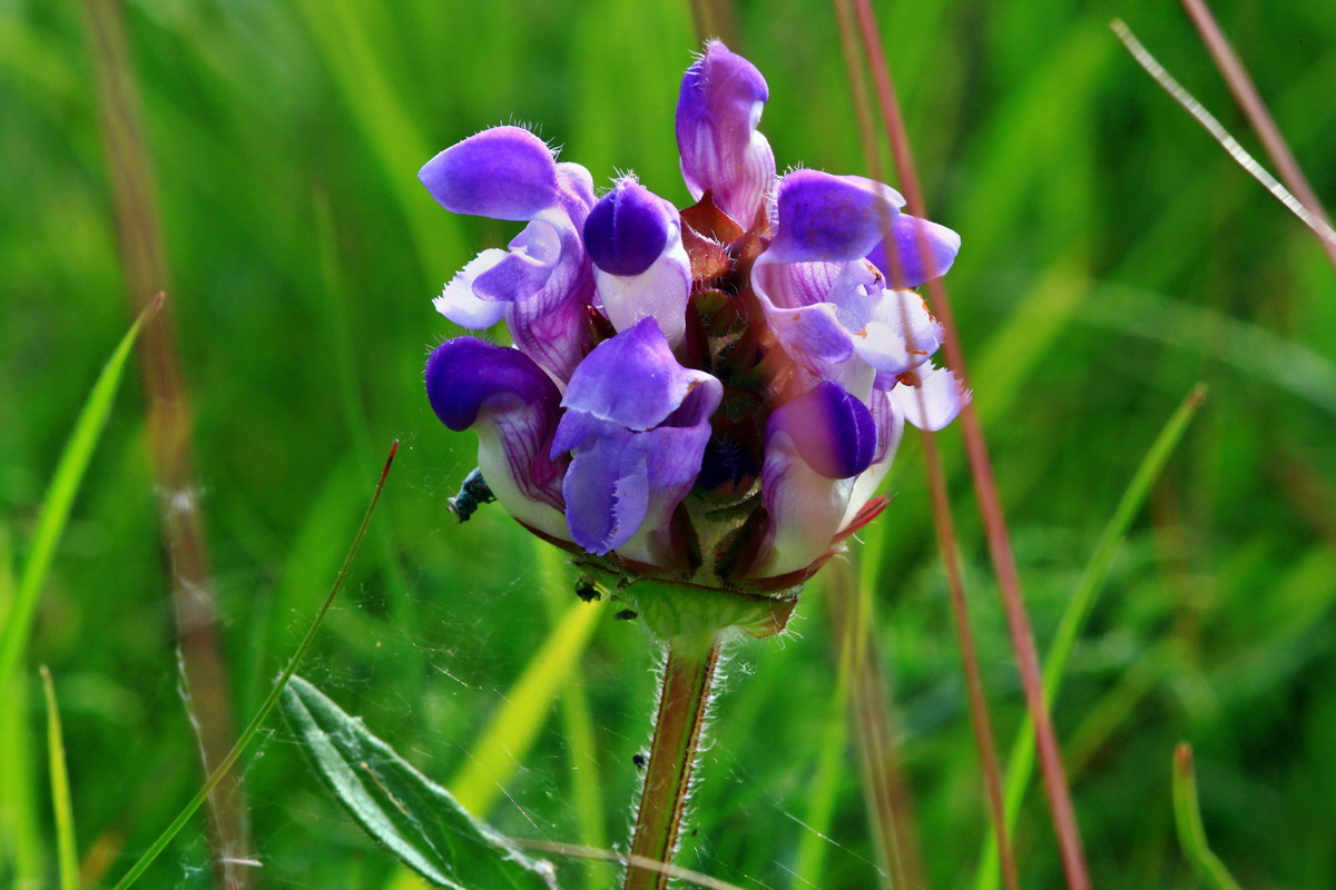 2013_06_24_00023987p_Bildgr��e �ndern