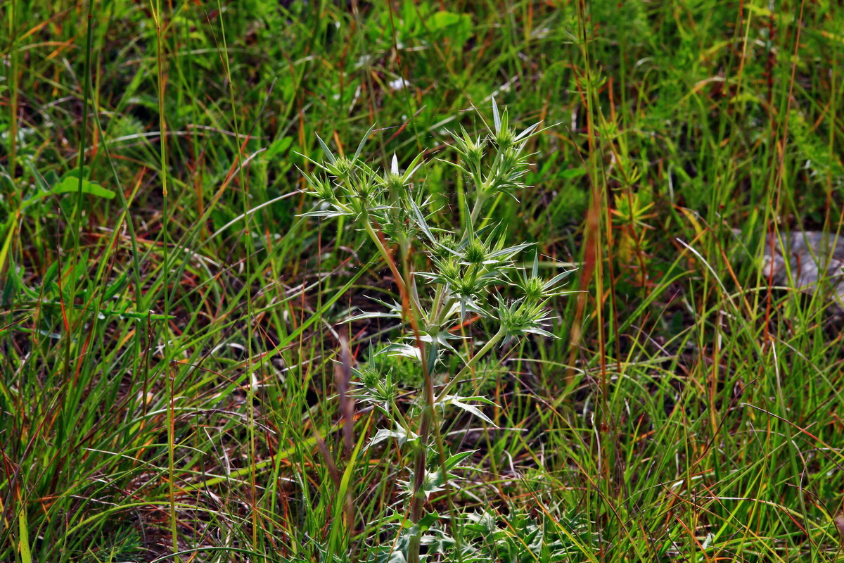 2013_06_24_00023992p_Bildgr��e �ndern