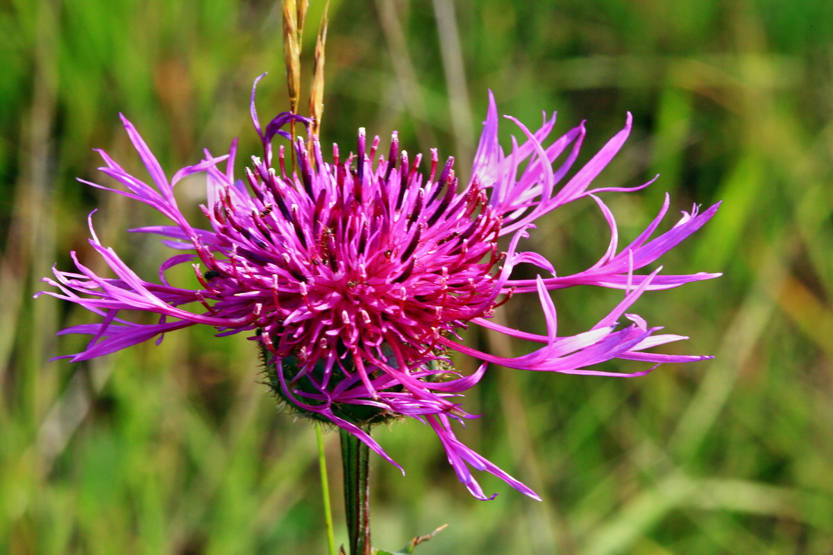 2013_06_24_00023997p_Bildgr��e �ndern