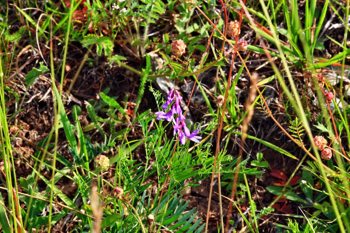 2013_06_24_00024008p_Bildgr��e �ndern