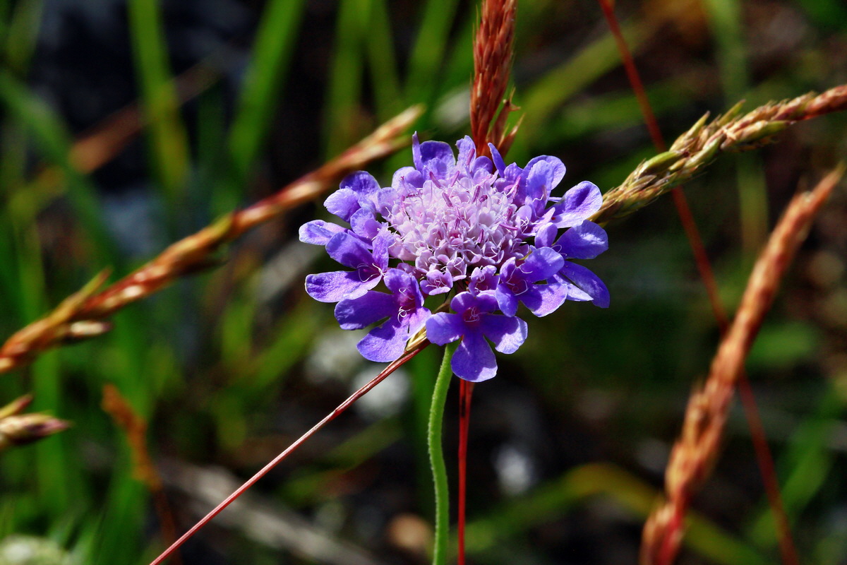 2013_06_24_00024011p_Bildgr��e �ndern