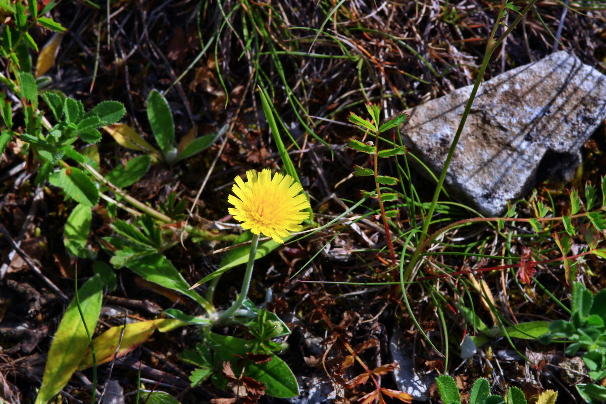 2013_06_24_00024052p_Bildgr��e �ndern