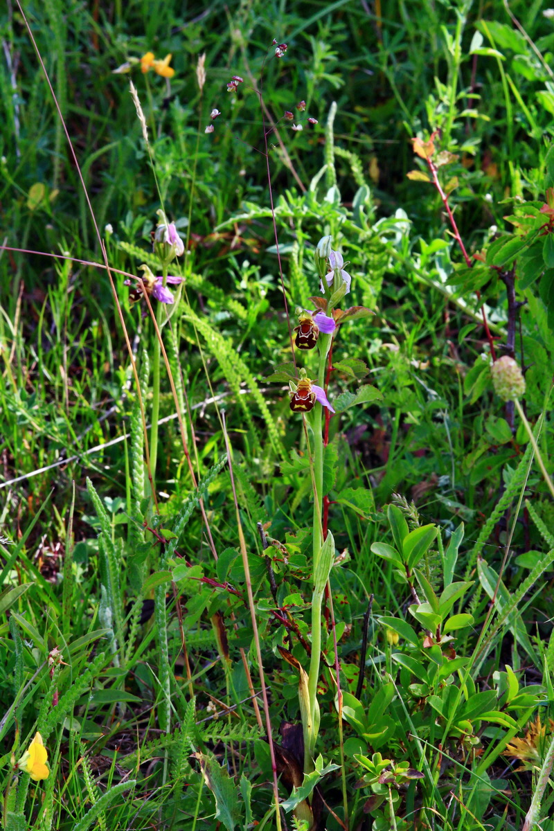 2013_06_24_00024072p_Bildgr��e �ndern