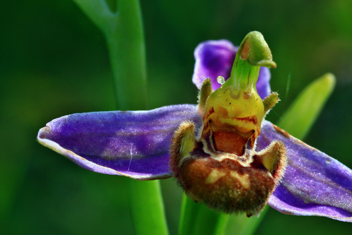 2013_06_24_00024090p_Bildgr��e �ndern