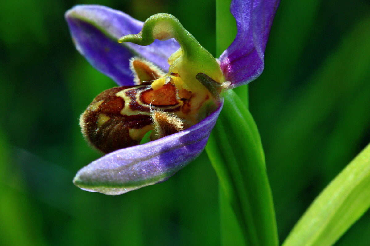 2013_06_24_00024117p_Bildgr��e �ndern