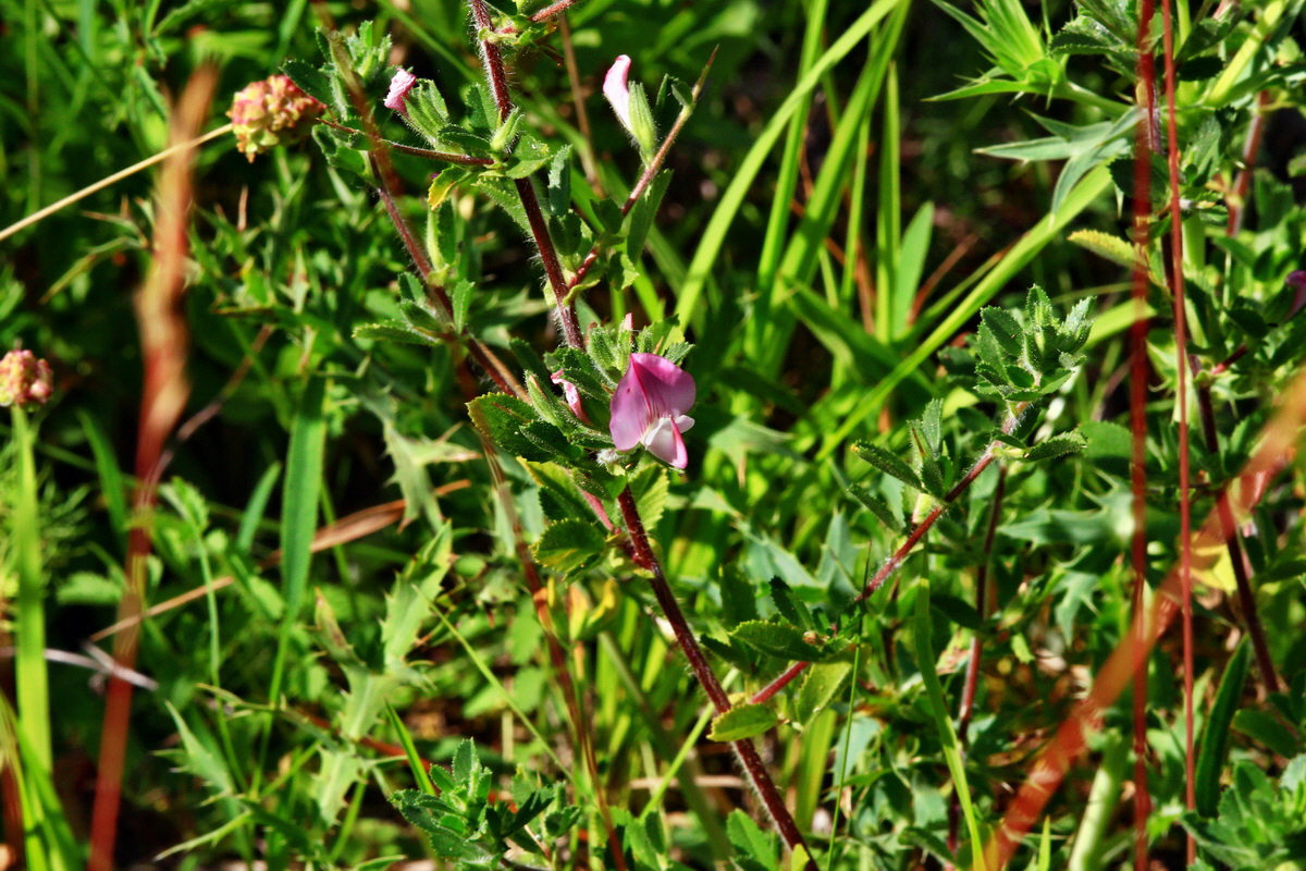 2013_06_24_00024155p_Bildgr��e �ndern